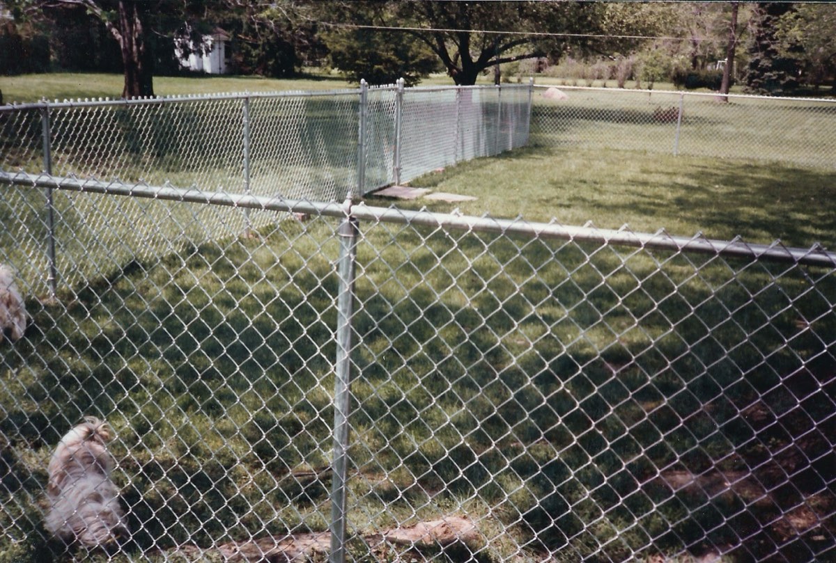 Chain link fence